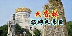 日韩美媚无码视频中国浙江-绍兴大香林旅游风景区